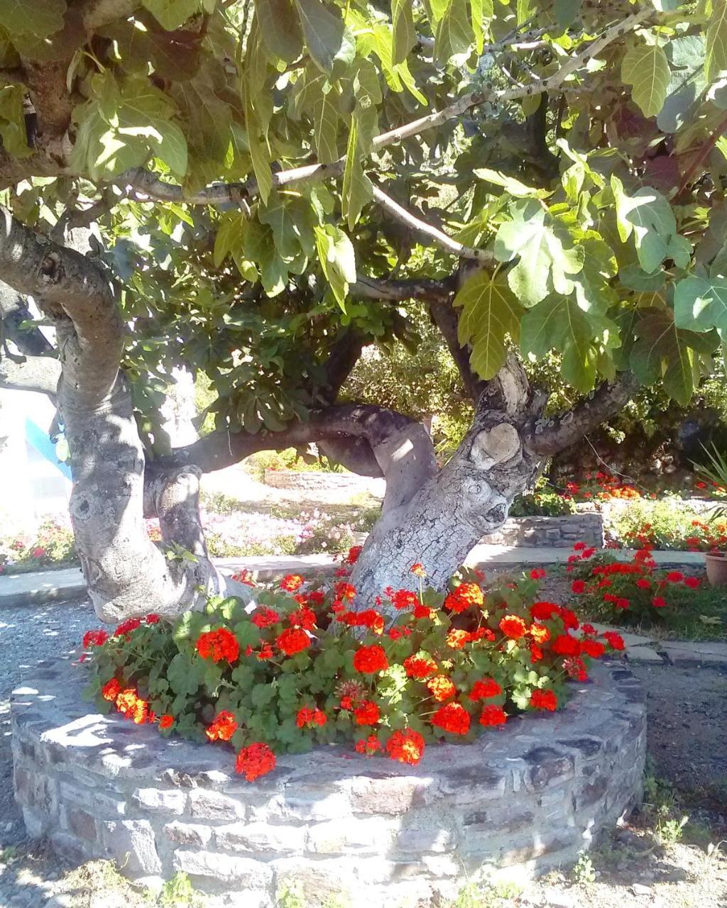 Enalion Apartments Agios Ioannis Kaspaka المظهر الخارجي الصورة